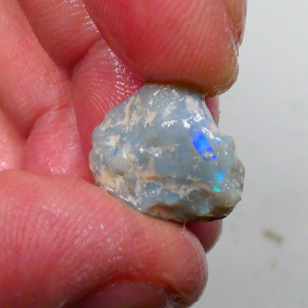 Untouched Pea knobby opal rough 8.00cts Dark base showing Blues though the skin Gamble ? 16x14x8mm  Lot B4-A500