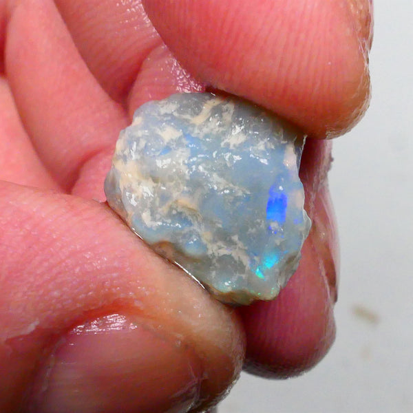 Untouched Pea knobby opal rough 8.00cts Dark base showing Blues though the skin Gamble ? 16x14x8mm  Lot B4-A500