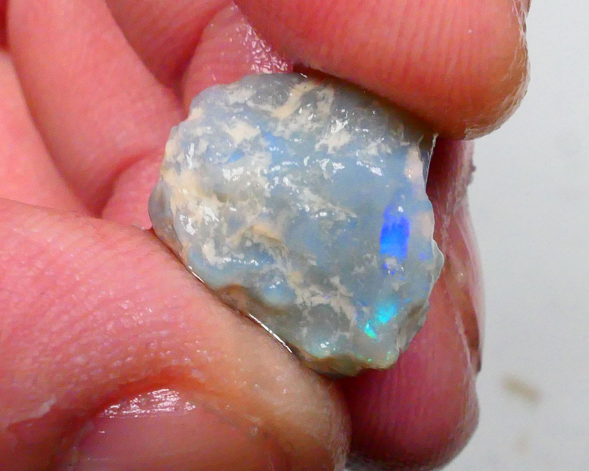 Untouched Pea knobby opal rough 8.00cts Dark base showing Blues though the skin Gamble ? 16x14x8mm  Lot B4-A500