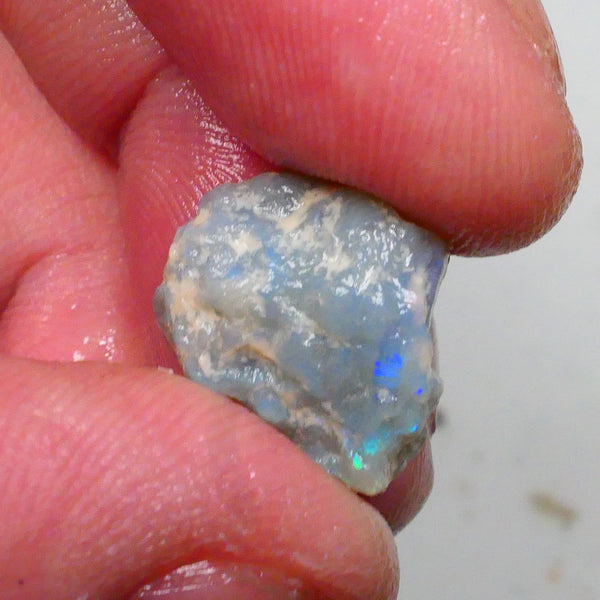 Untouched Pea knobby opal rough 8.00cts Dark base showing Blues though the skin Gamble ? 16x14x8mm  Lot B4-A500