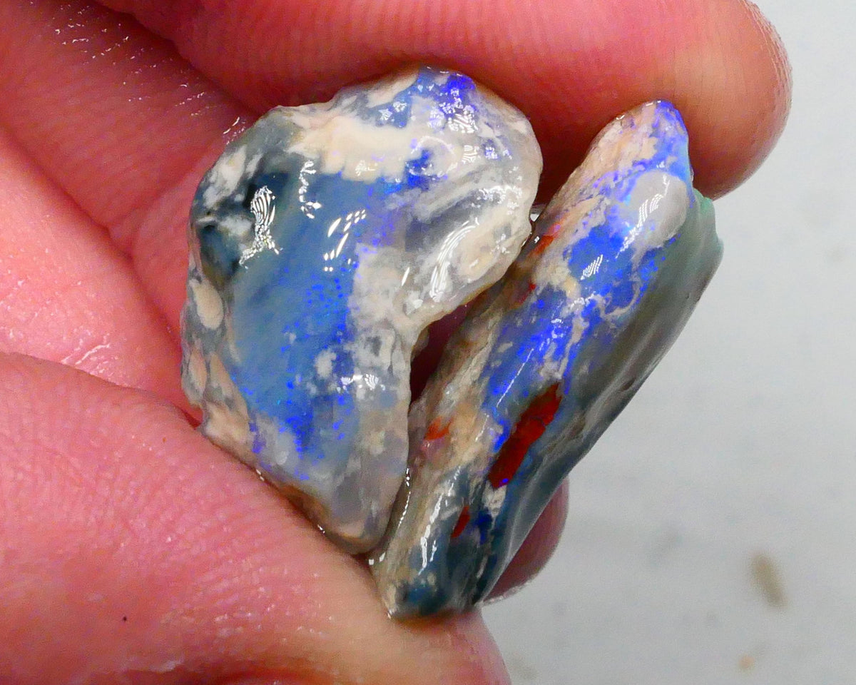 Lots of blues on this pair of Dark base knobby opal rough 24.00cts Lightning Ridge to gamble 24x12x7mm & 20x13x9mm Lot B4-A496