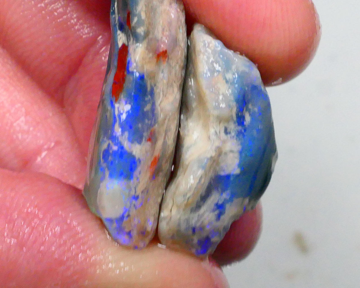 Lots of blues on this pair of Dark base knobby opal rough 24.00cts Lightning Ridge to gamble 24x12x7mm & 20x13x9mm Lot B4-A496