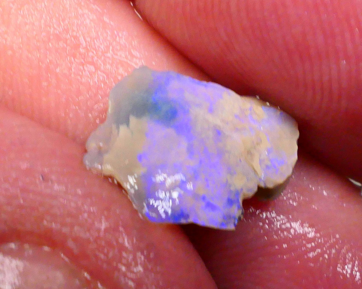 Little cutter here Bright Blue bar 2.50cts Lightning Ridge Seam opal rough lots of potential 15x11x4mm  Lot B4-A495