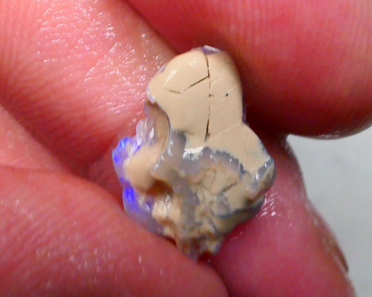 Little cutter here Bright Blue bar 2.50cts Lightning Ridge Seam opal rough lots of potential 15x11x4mm  Lot B4-A495