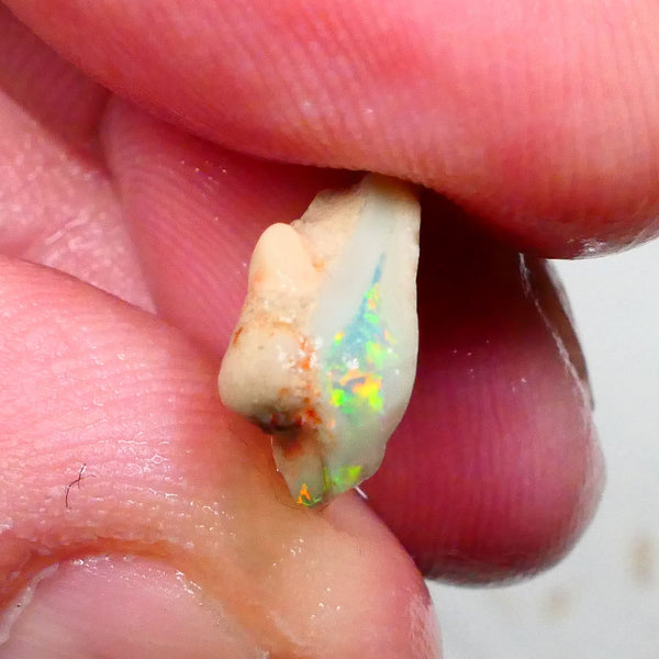 Oranges & Yellows dominant here 4.00cts Small Point to be had for those who dare Lightning Ridge 15x13x6mm Lot B4-A493