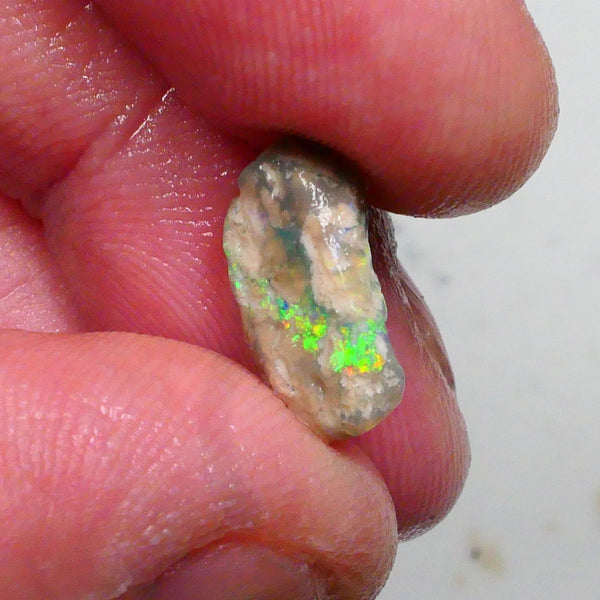 Small Lightning Ridge opal rough formation 3.25cts Bright Green /Blue / Yellows showing sold as gamble 14x9x5mm Lot B4-A489