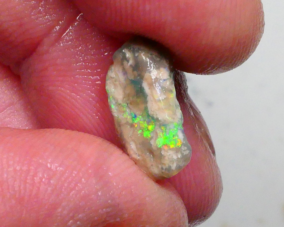 Small Lightning Ridge opal rough formation 3.25cts Bright Green /Blue / Yellows showing sold as gamble 14x9x5mm Lot B4-A489