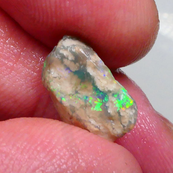 Small Lightning Ridge opal rough formation 3.25cts Bright Green /Blue / Yellows showing sold as gamble 14x9x5mm Lot B4-A489