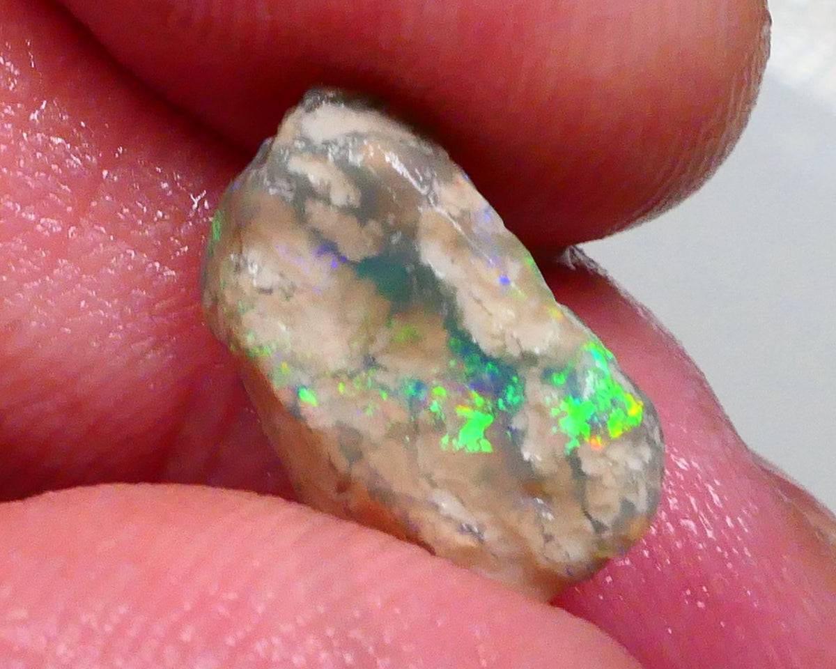 Small Lightning Ridge opal rough formation 3.25cts Bright Green /Blue / Yellows showing sold as gamble 14x9x5mm Lot B4-A489