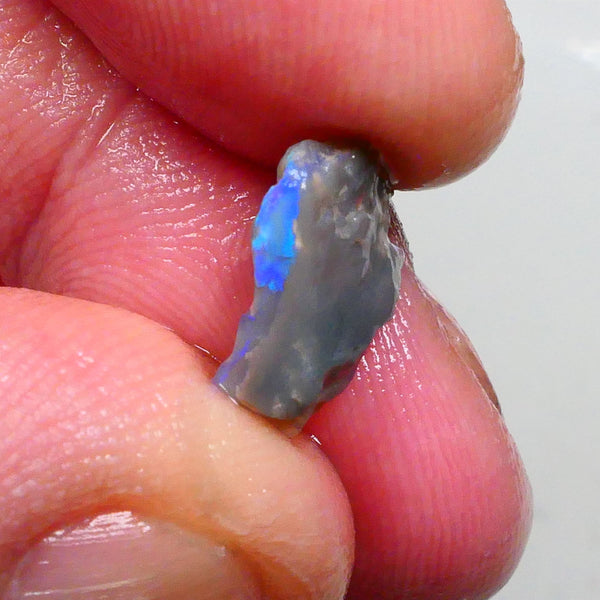 Gorgeous Bright Vibrant Blue/Green tones 2.50cts Small dark base seam opal of Lighting Ridge to cut 13x9x5mm   Lot B4-A487