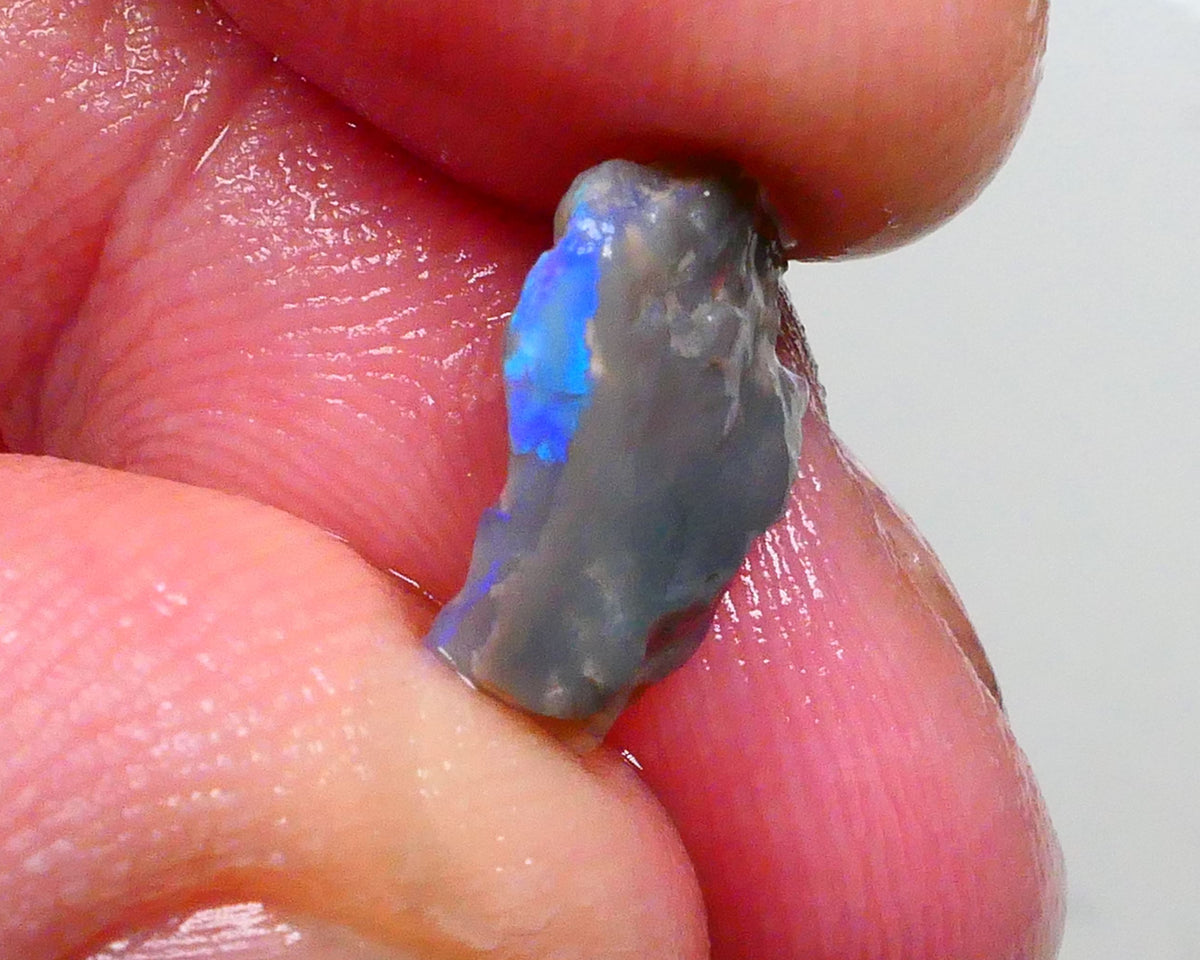 Gorgeous Bright Vibrant Blue/Green tones 2.50cts Small dark base seam opal of Lighting Ridge to cut 13x9x5mm   Lot B4-A487