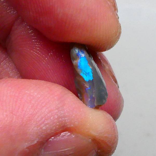 Gorgeous Bright Vibrant Blue/Green tones 2.50cts Small dark base seam opal of Lighting Ridge to cut 13x9x5mm   Lot B4-A487