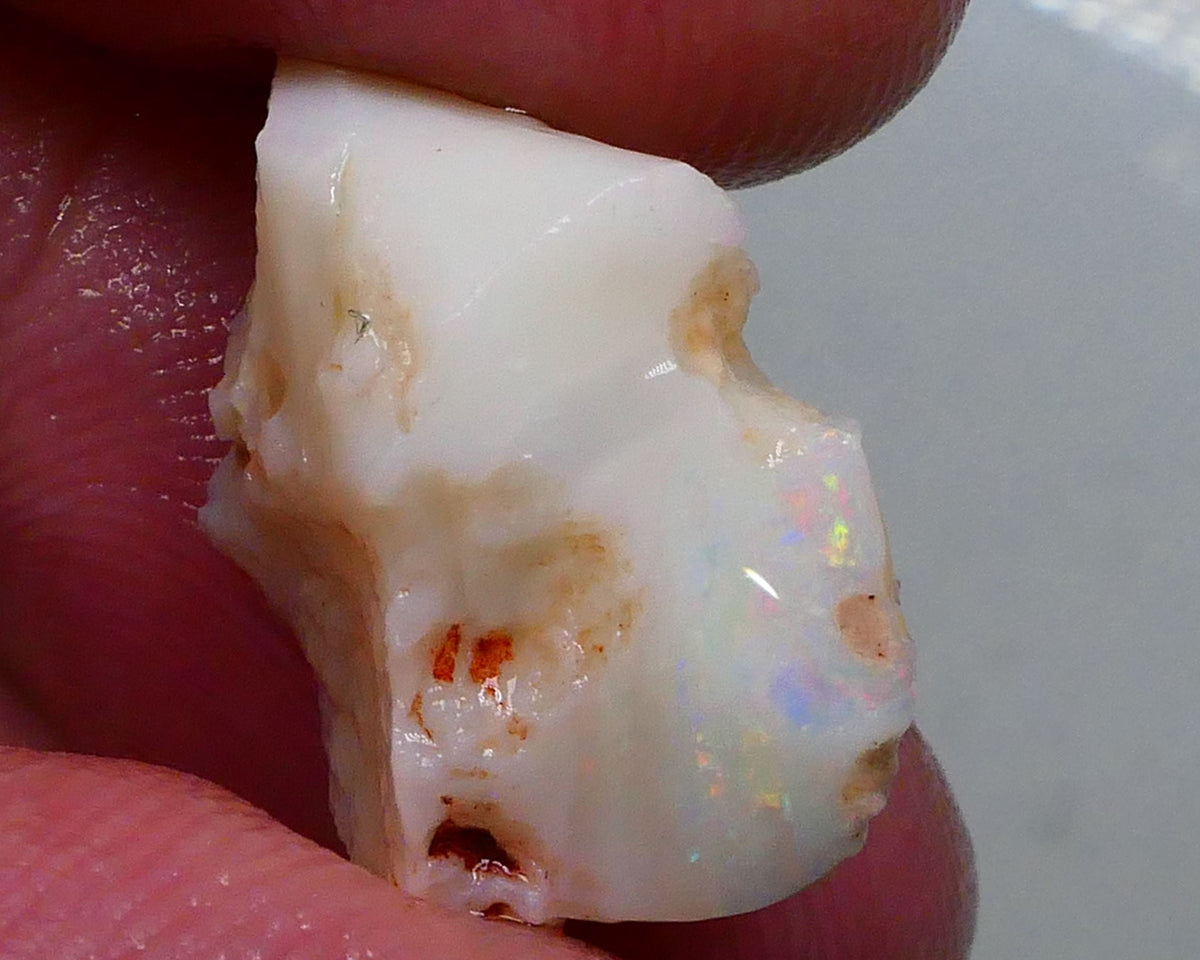 Yellows & Multifires to chase on this Light base seam opal rough 10.75cts Lightning Ridge Material to gamble 20x14x11mm   Lot B4-A486