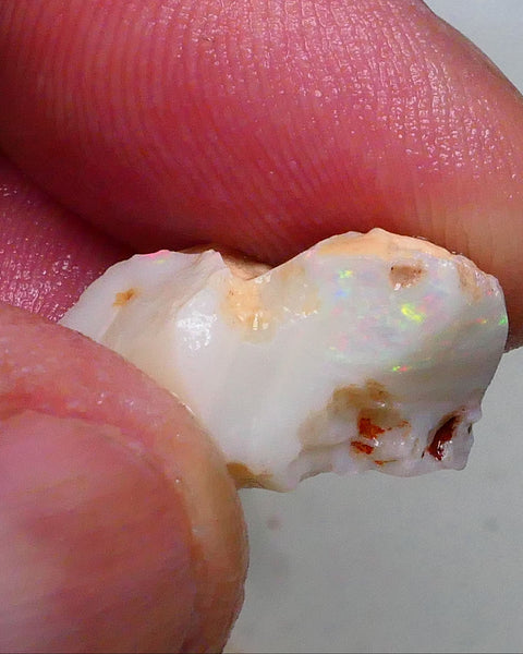 Yellows & Multifires to chase on this Light base seam opal rough 10.75cts Lightning Ridge Material to gamble 20x14x11mm   Lot B4-A486