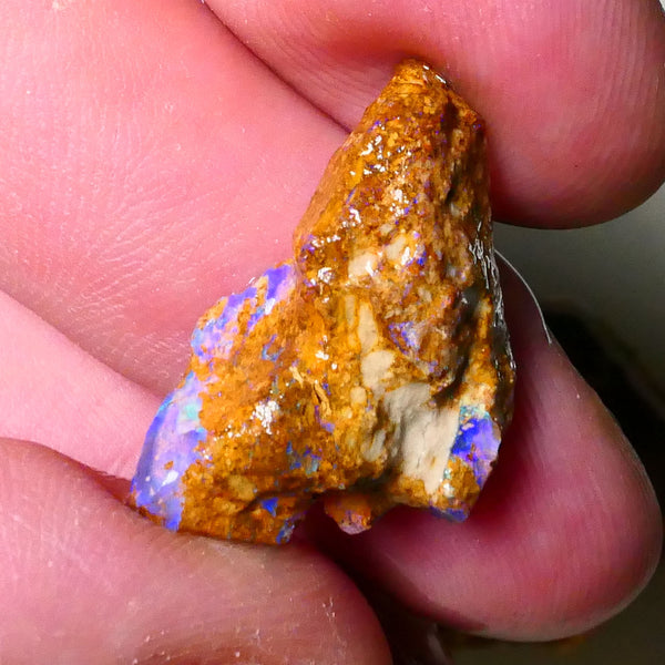 Sandy Boulder opal fro m Queensland 10.50cts Lots of Bright Blue colours suit carve or gamble 27x15x7mm   Lot B4-A504