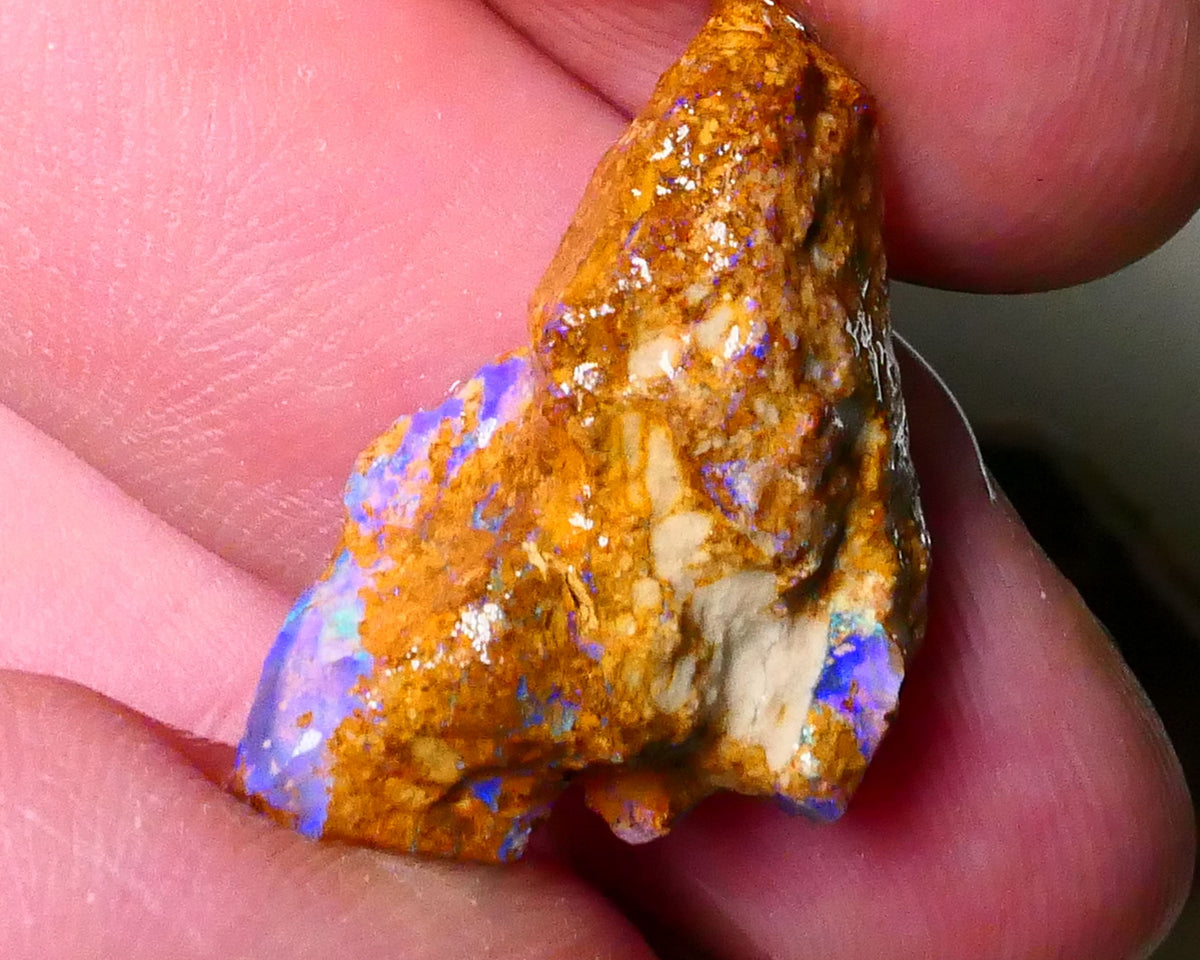 Sandy Boulder opal fro m Queensland 10.50cts Lots of Bright Blue colours suit carve or gamble 27x15x7mm   Lot B4-A504
