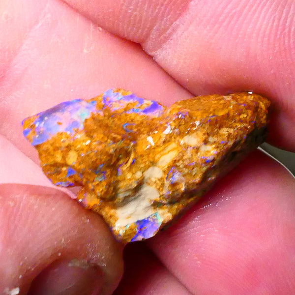 Sandy Boulder opal fro m Queensland 10.50cts Lots of Bright Blue colours suit carve or gamble 27x15x7mm   Lot B4-A504