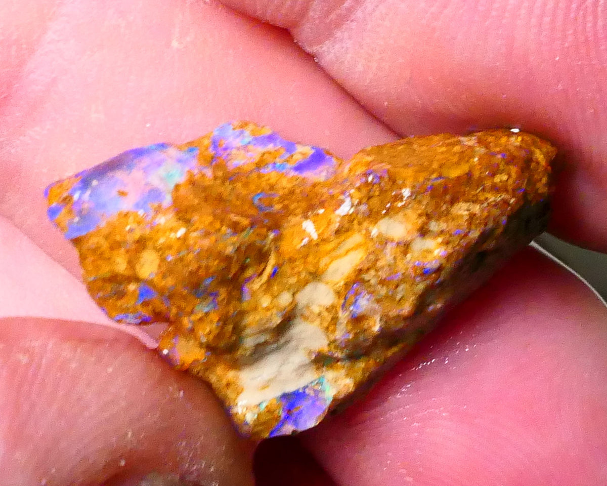 Sandy Boulder opal fro m Queensland 10.50cts Lots of Bright Blue colours suit carve or gamble 27x15x7mm   Lot B4-A504