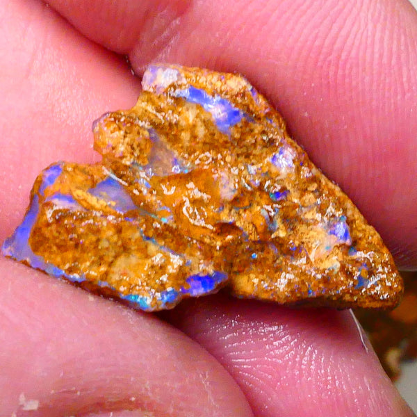 Sandy Boulder opal fro m Queensland 10.50cts Lots of Bright Blue colours suit carve or gamble 27x15x7mm   Lot B4-A504