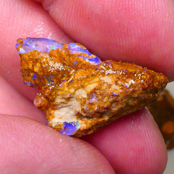 Sandy Boulder opal fro m Queensland 10.50cts Lots of Bright Blue colours suit carve or gamble 27x15x7mm   Lot B4-A504