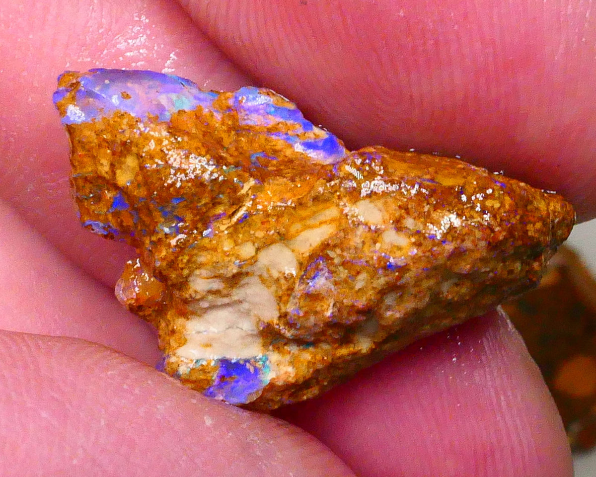 Sandy Boulder opal fro m Queensland 10.50cts Lots of Bright Blue colours suit carve or gamble 27x15x7mm   Lot B4-A504