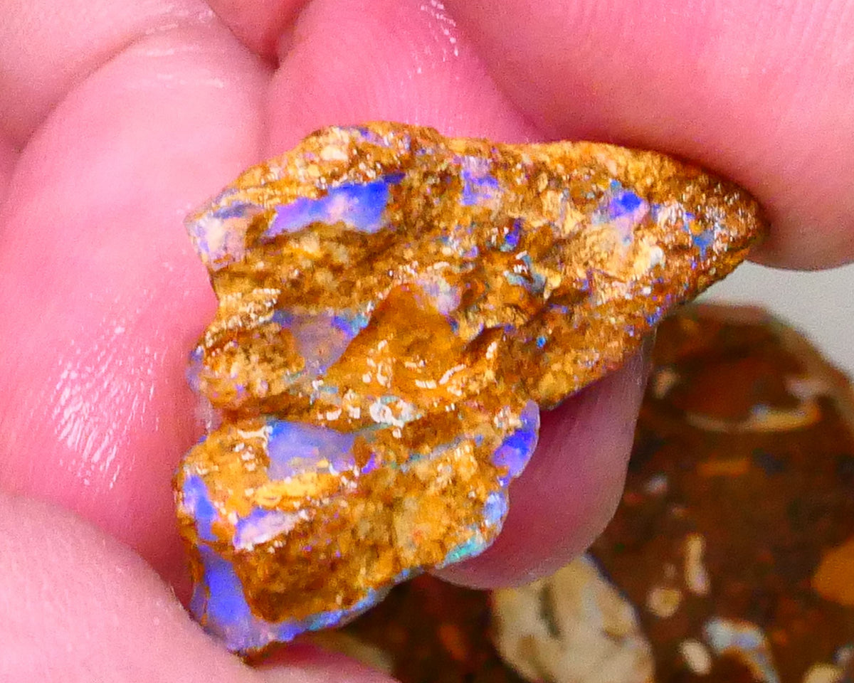 Sandy Boulder opal fro m Queensland 10.50cts Lots of Bright Blue colours suit carve or gamble 27x15x7mm   Lot B4-A504