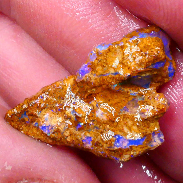 Sandy Boulder opal fro m Queensland 10.50cts Lots of Bright Blue colours suit carve or gamble 27x15x7mm   Lot B4-A504