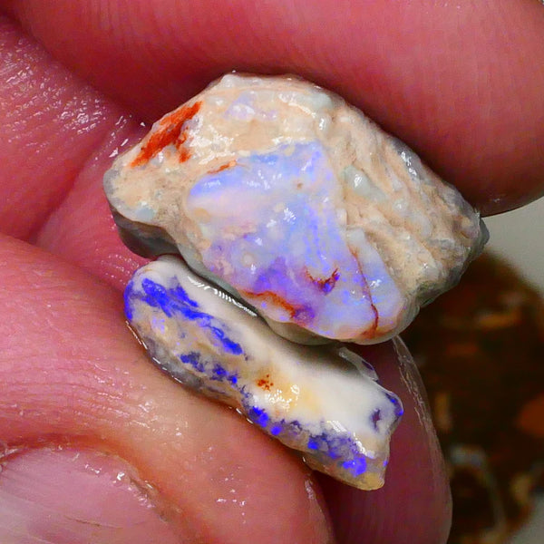 Small pair of Lightning Ridge knobby opal rough 10.00cts Bright Blue colours to chase & Gamble 18x11x10mm & 14x10x4mm  Lot B4-A506