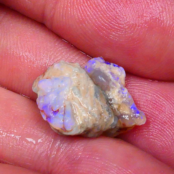 Small pair of Lightning Ridge knobby opal rough 10.00cts Bright Blue colours to chase & Gamble 18x11x10mm & 14x10x4mm  Lot B4-A506
