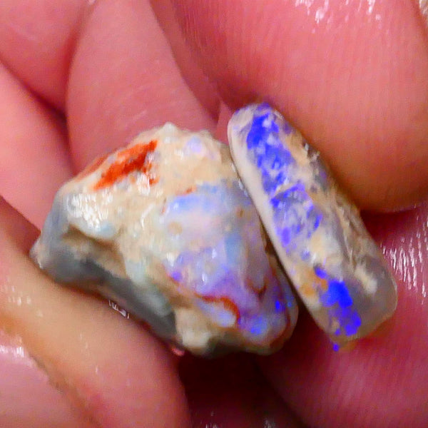 Small pair of Lightning Ridge knobby opal rough 10.00cts Bright Blue colours to chase & Gamble 18x11x10mm & 14x10x4mm  Lot B4-A506