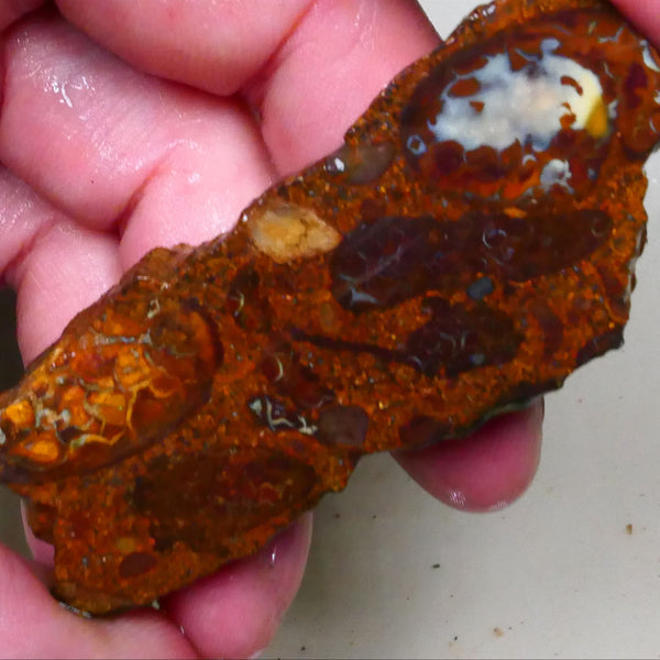 Winton Boulder opal rough slice 165.00cts Nice Eye of blue colours showing 69x27x10mm Lot B4-A508