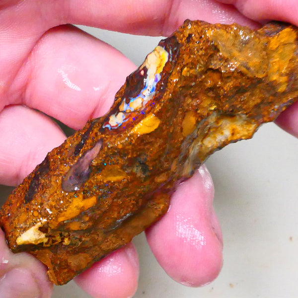 Winton Boulder opal rough slice 165.00cts Nice Eye of blue colours showing 69x27x10mm Lot B4-A508