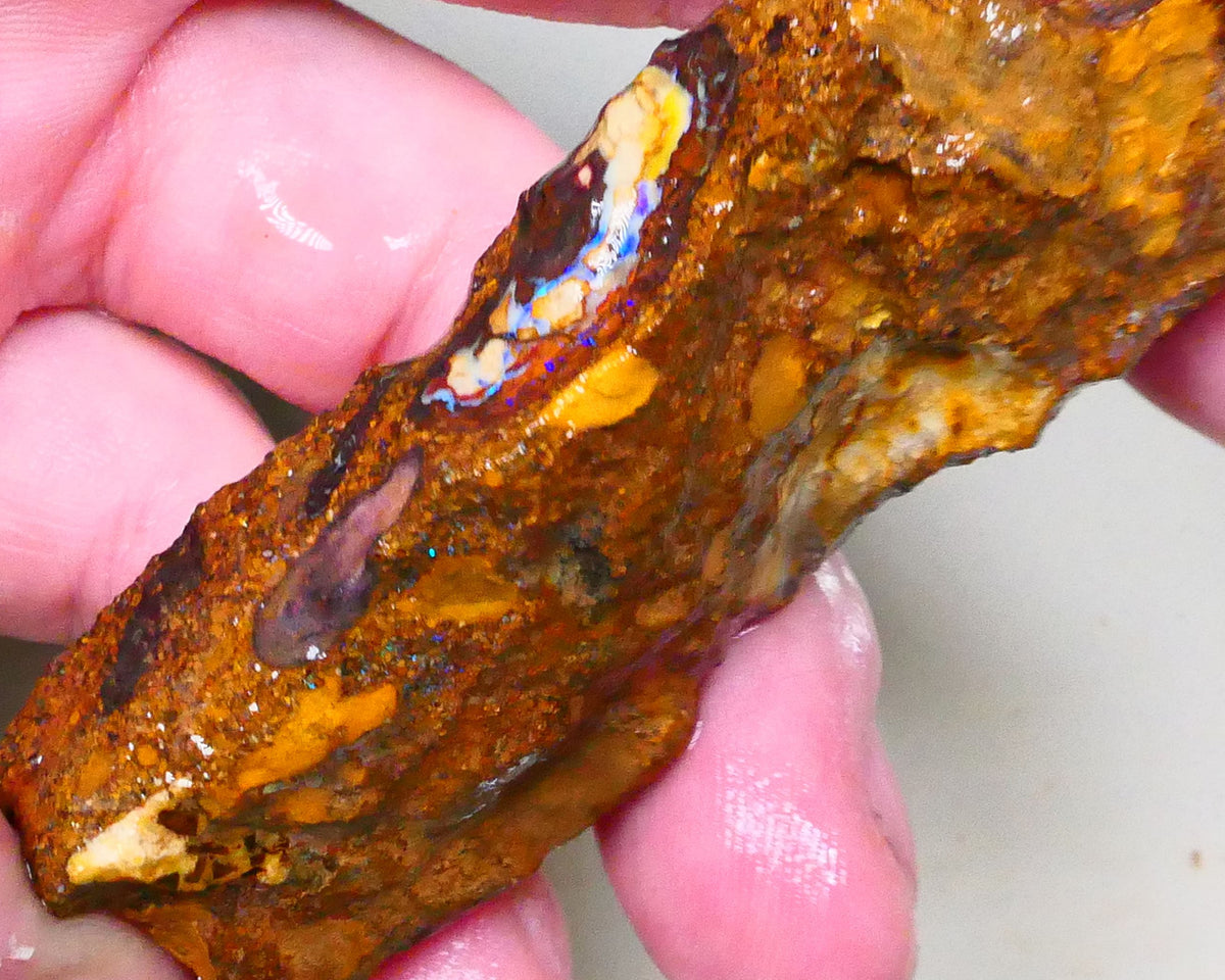 Winton Boulder opal rough slice 165.00cts Nice Eye of blue colours showing 69x27x10mm Lot B4-A508