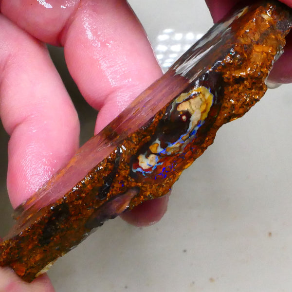 Winton Boulder opal rough slice 165.00cts Nice Eye of blue colours showing 69x27x10mm Lot B4-A508