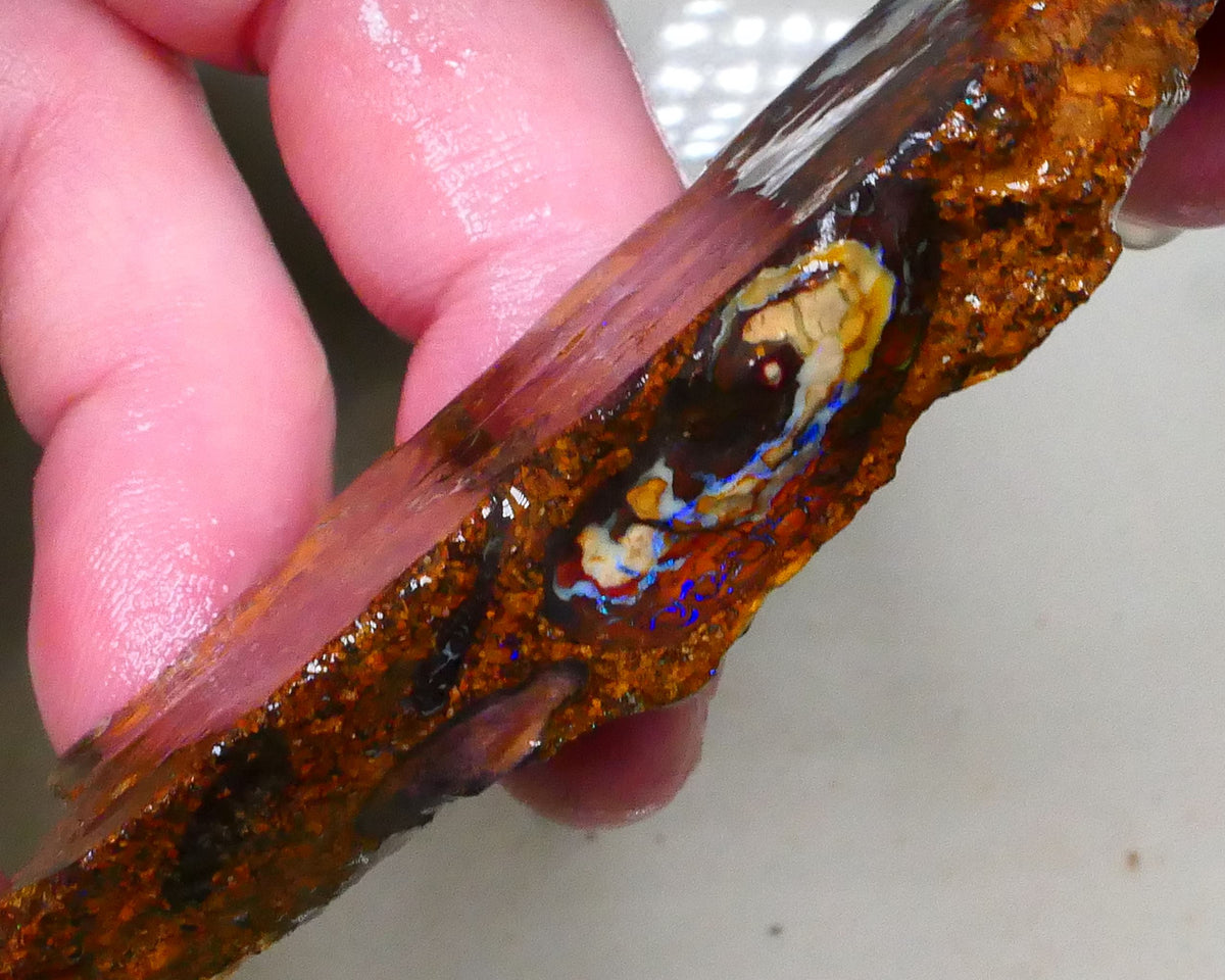 Winton Boulder opal rough slice 165.00cts Nice Eye of blue colours showing 69x27x10mm Lot B4-A508