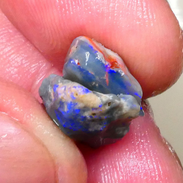 Dark base pair of rough from Lightning Ridge worth a gamble cut 6.50cts Bright Blue bars 13x10x4mm & 12x10x5mm   Lot B4-A510