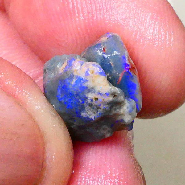 Dark base pair of rough from Lightning Ridge worth a gamble cut 6.50cts Bright Blue bars 13x10x4mm & 12x10x5mm   Lot B4-A510