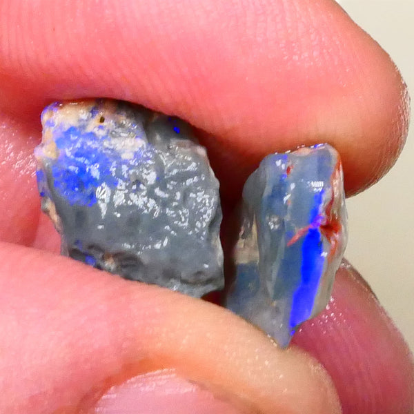 Dark base pair of rough from Lightning Ridge worth a gamble cut 6.50cts Bright Blue bars 13x10x4mm & 12x10x5mm   Lot B4-A510