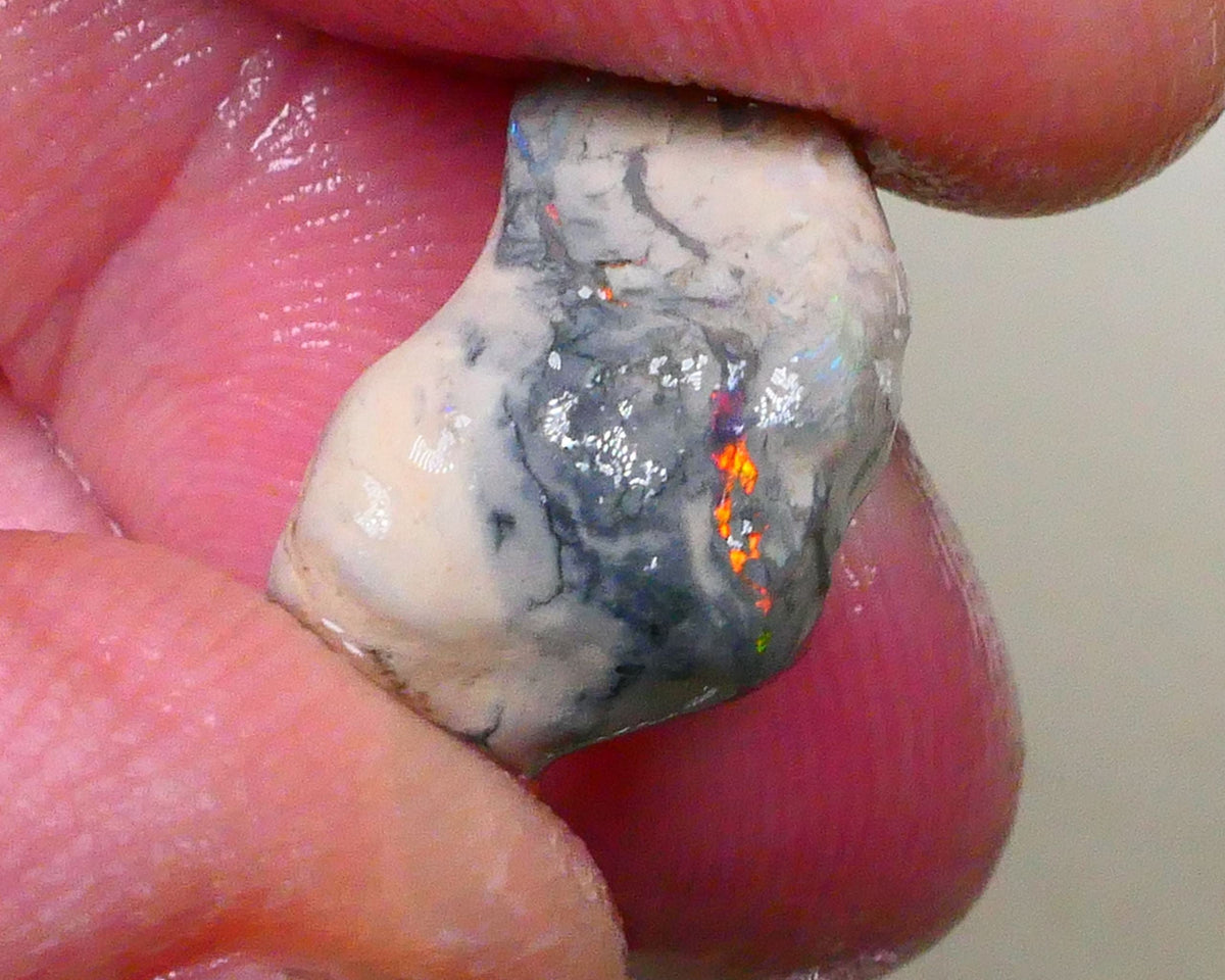Orange/Red Alert Bright fire poking through saying Hello chase me now lol 10.50cts Knobby opal formation rough of Lightning Ridge Sand/Clay host 19x15x9mm  Lot B4-A513
