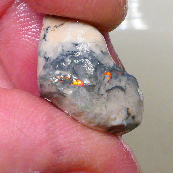 Orange/Red Alert Bright fire poking through saying Hello chase me now lol 10.50cts Knobby opal formation rough of Lightning Ridge Sand/Clay host 19x15x9mm  Lot B4-A513