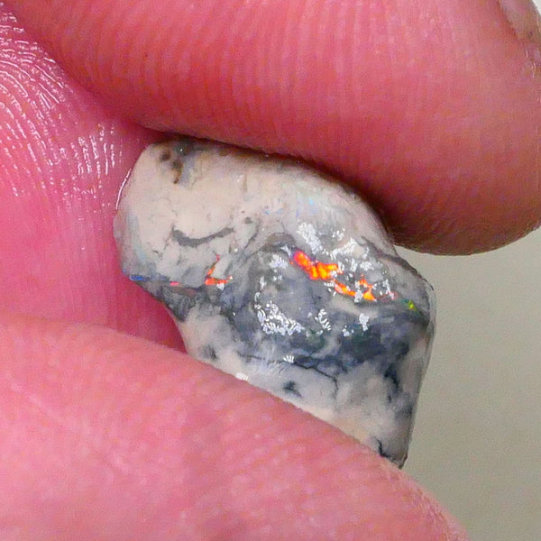 Orange/Red Alert Bright fire poking through saying Hello chase me now lol 10.50cts Knobby opal formation rough of Lightning Ridge Sand/Clay host 19x15x9mm  Lot B4-A513