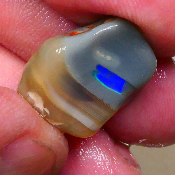 Bright Broad Blue Flash of Fire 22.00cts Dark Base knobby opal rough out the tumbler 22x17x10mm Lot B4-A519