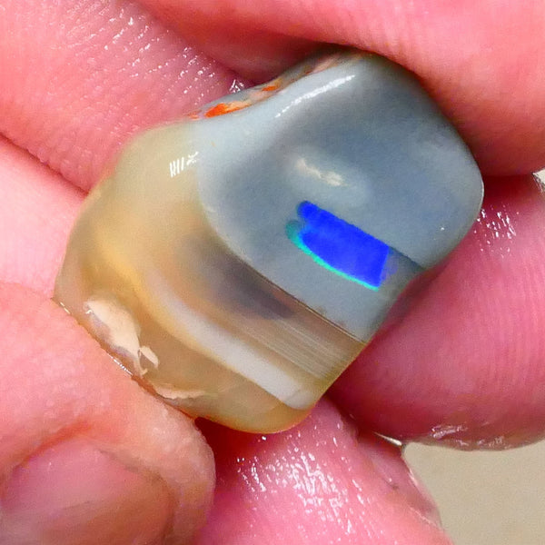 Bright Broad Blue Flash of Fire 22.00cts Dark Base knobby opal rough out the tumbler 22x17x10mm Lot B4-A519