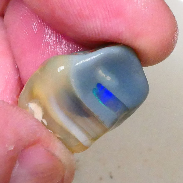 Bright Broad Blue Flash of Fire 22.00cts Dark Base knobby opal rough out the tumbler 22x17x10mm Lot B4-A519