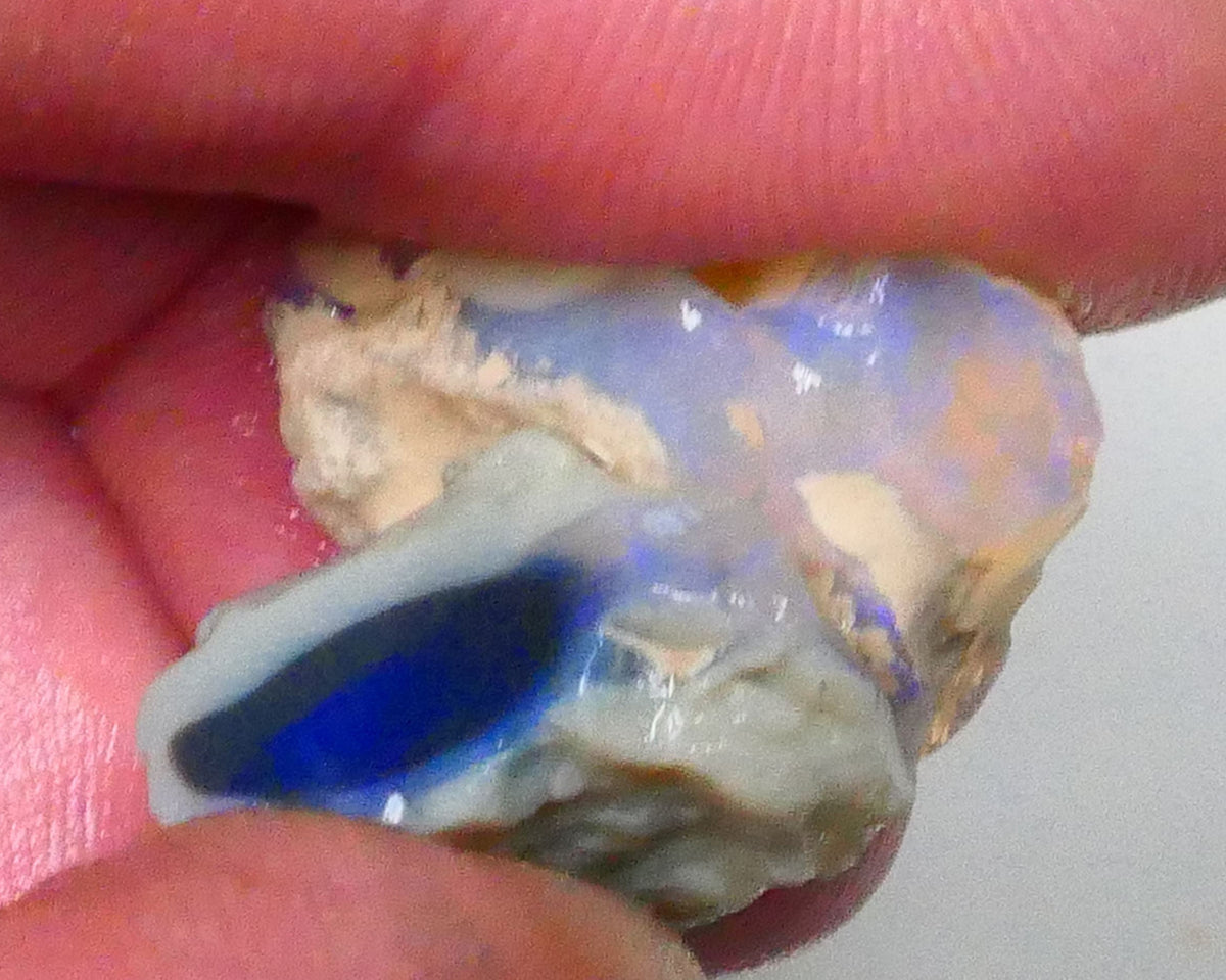 Pair of Lightning Ridge Dark Base Knobby opal rough 25.00cts blue colours to chase 21x16x10mm & 17x12x10mm Lot B4-A535