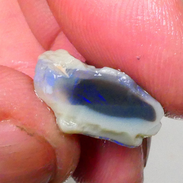 Pair of Lightning Ridge Dark Base Knobby opal rough 25.00cts blue colours to chase 21x16x10mm & 17x12x10mm Lot B4-A535