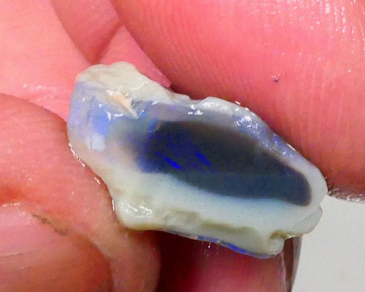 Pair of Lightning Ridge Dark Base Knobby opal rough 25.00cts blue colours to chase 21x16x10mm & 17x12x10mm Lot B4-A535