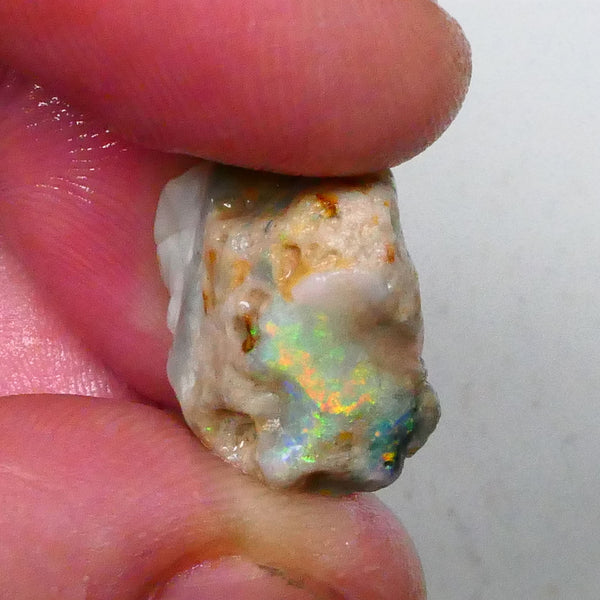 Nice Green dominant M. Fires with oranges Knobby opal rough 12.75cts Calling all Gamble cutters 20x16x8mm  Lot B4-A532