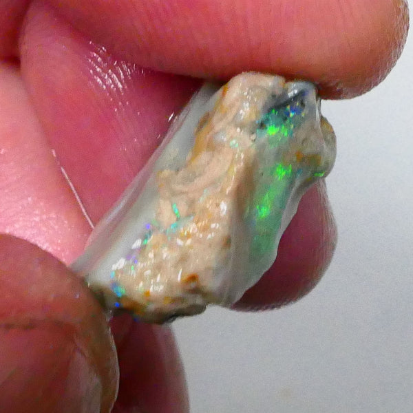 Nice Green dominant M. Fires with oranges Knobby opal rough 12.75cts Calling all Gamble cutters 20x16x8mm  Lot B4-A532