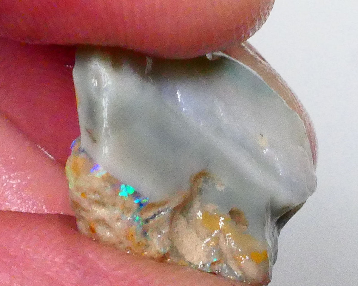 Nice Green dominant M. Fires with oranges Knobby opal rough 12.75cts Calling all Gamble cutters 20x16x8mm  Lot B4-A532